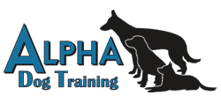 Alpha Dog Training